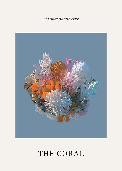 Poster mit farbenfrohem Korallenriff auf blauem Hintergrund und dem Text "The Coral"