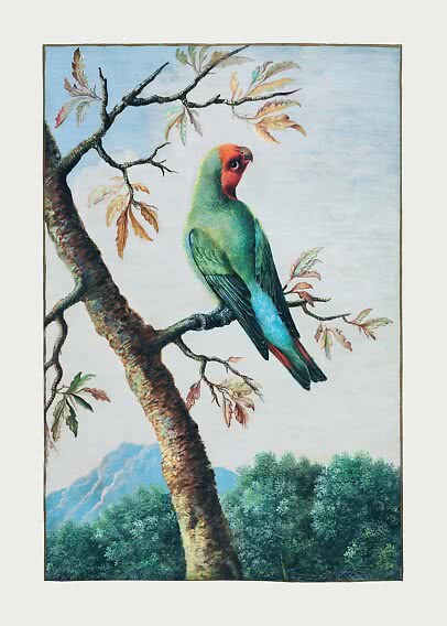 Illustration av färgglad papegoja på gren med ljusa blad och blå himmel