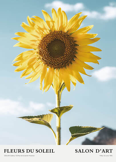 Poster d’arte con grande girasole giallo su cielo azzurro e testo "Fleurs du Soleil"