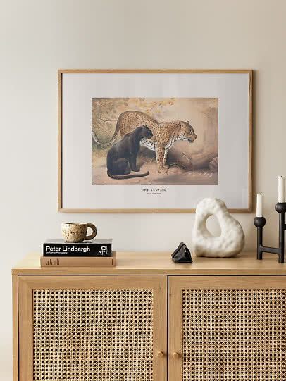 Vintage animal poster – Leopard | Postery
