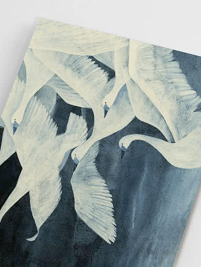 Bird poster – Swan Flight | Postery