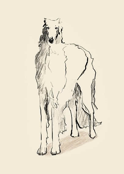 Schizzo in bianco e nero di un cane a pelo lungo in piedi su sfondo beige chiaro
