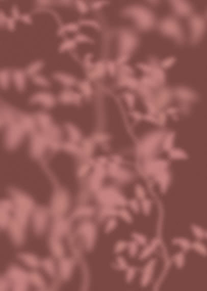 Leafy branches in pale pink drawn in soft focus across a deep oxblood ground