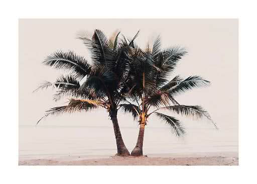 Dos palmeras en una playa de arena junto a un mar en calma con luz suave