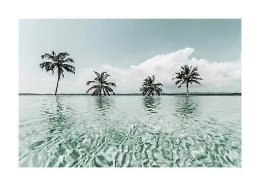 Palm trees in shallow clear water under a pale blue sky with large white clouds