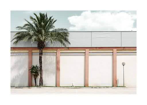 Palma davanti a edificio chiaro con colonne rosa, piccola palma e lampione sotto cielo azzurro