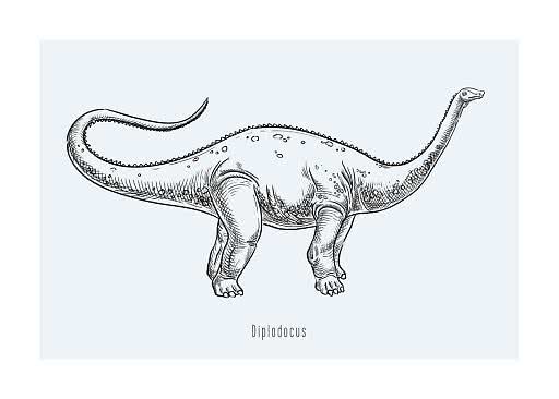 Illustration of a Diplodocus dinosaur with long neck and tail on a light blue background