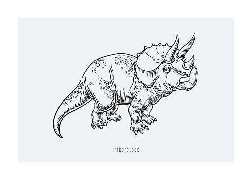 Czarny rysunek liniowy triceratopsa na jasnoniebieskim tle z napisem „Triceratops”