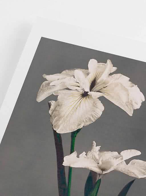 Postery Inspiration | Japandi 01