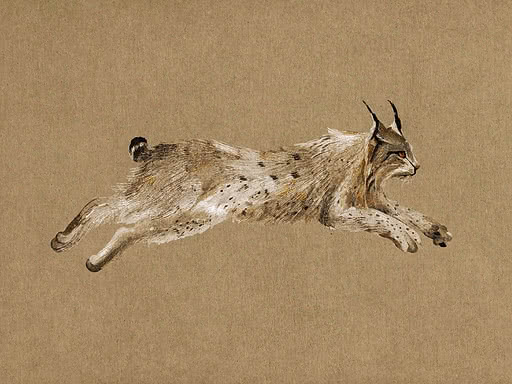 Una lince in piena estensione dipinta a pennellate corte e asciutte su kraft nudo, le zampe tese e un occhio ambra in avanti