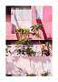 Rosa Hausfassade mit Fenstern, Vorhängen und grünen Pflanzen im Sonnenlicht