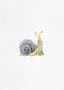 Aquarellillustration einer niedlichen grünen Schnecke mit grauem Haus auf weißem Hintergrund