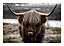 Close-up of a Highland cow with long horns and shaggy fur standing by a lake