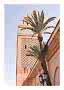 Palm tree in front of an ornate tower with arches under a clear blue sky