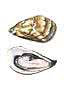 Watercolor of a closed and opened oyster viewed from above on a white background