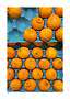Oranges arranged in stacked blue cardboard trays