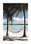 Hammock between two palm trees on a white sandy beach by turquoise water under a blue sky
