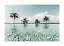 Palm trees in shallow clear water under a pale blue sky with large white clouds