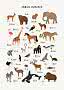 Póster del alfabeto de animales con animales ilustrados de la A a la Z sobre fondo claro.