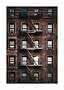Brick apartment building facade with metal fire escape and rows of windows