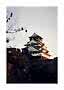 Japanische Burg auf einer Steinmauer im warmen Abendlicht, von unten mit Ästen im Vordergrund