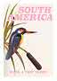 Vintage-Reiseposter mit buntem Vogel auf Schilf und dem Text „South America“.