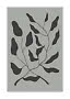 Abstrakt botanisk motiv med mørke blade og grene på grå baggrund