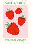 Illustriertes Poster mit roten Himbeeren auf rosa Hintergrund und dem Text Santa Cruz Central Coast