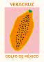 Grafisches Poster mit orangefarbener Papaya auf rosa Hintergrund und dem Text Veracruz, Golfo de México.