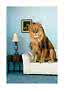 Lion sitting on a white sofa in a blue room beside a side table with a lamp