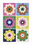 Illustration of six colorful flowers in a 2x3 grid on different backgrounds
