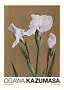 Botanisk plakat med lyse lilla irisblomster på brun baggrund og tekst nederst