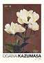 Vintage poster with white peonies on a brown background and the text OGAWA KAZUMASA