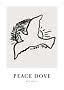 Minimalist poster with black line drawing of a flying dove and the text Peace Dove by Leo Gestel