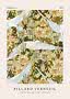 Art Nouveau poster with white doves among cream lilies and green foliage