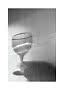 Stemmed glass with water and soft shadows on a light wood surface
