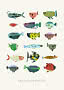 Ilustración de peces coloridos y fantasiosos sobre fondo claro, con texto abajo.