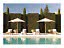 Poolside with four loungers, two white umbrellas, and tall manicured hedges in sunlight