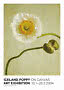 Poster mit weißem Islandmohn und Knospe auf hellem Hintergrund, Ausstellungstext unten