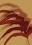 The blurred shadow of a plant in deep oxblood falling across a warm ochre ground, its leaves only half resolved