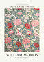 Plakat med William Morris blomsterdesign i pink, rød og creme på mørkeblå baggrund