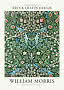 Plakat med William Morris blomsterornament i grøn, blå, rosa og hvid med titeltekst