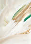 Abstract painting with white brushstrokes and green and golden accents
