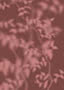 Leafy branches in pale pink drawn in soft focus across a deep oxblood ground