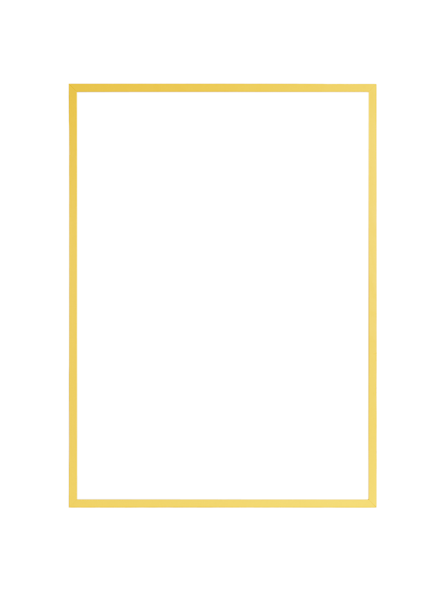 Rechteckiger Wandspiegel mit goldfarbenem Rahmen