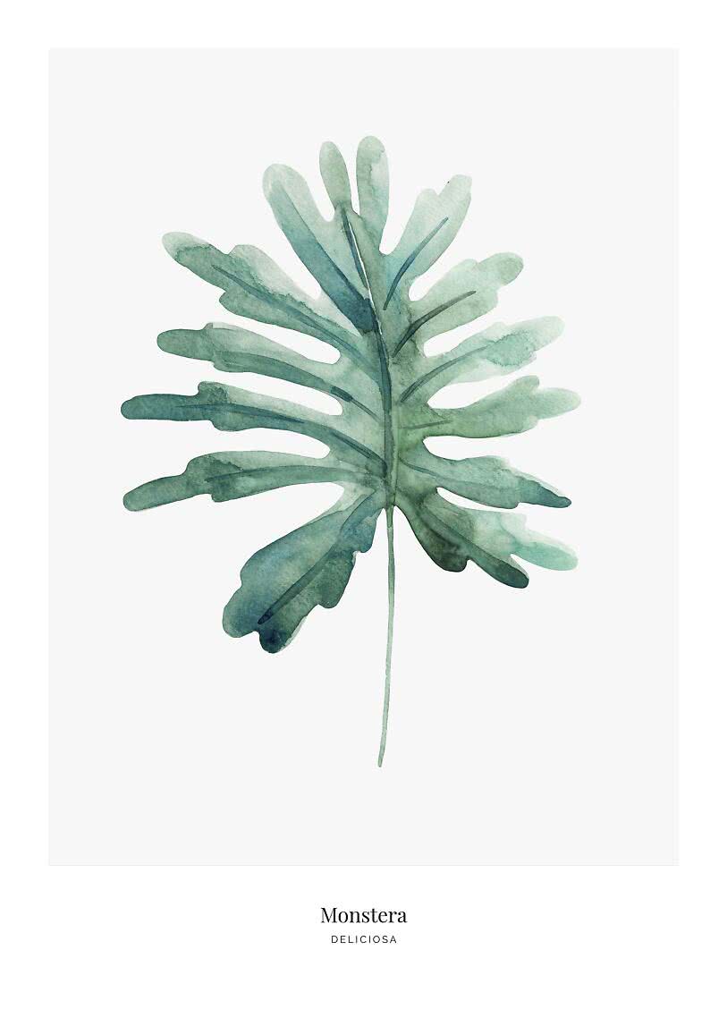 Blatt-Poster  Monstera No.3 | Postery