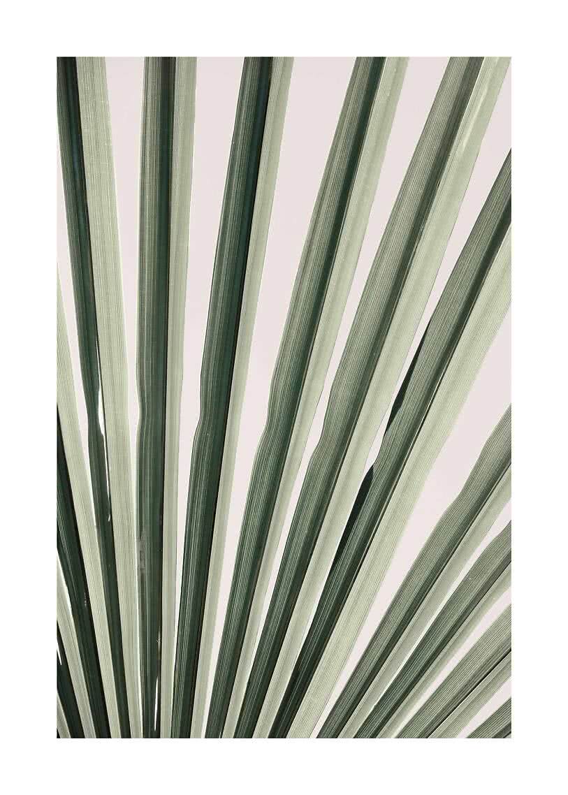 Tropen-Poster – Tropical Palm Leaf No.3