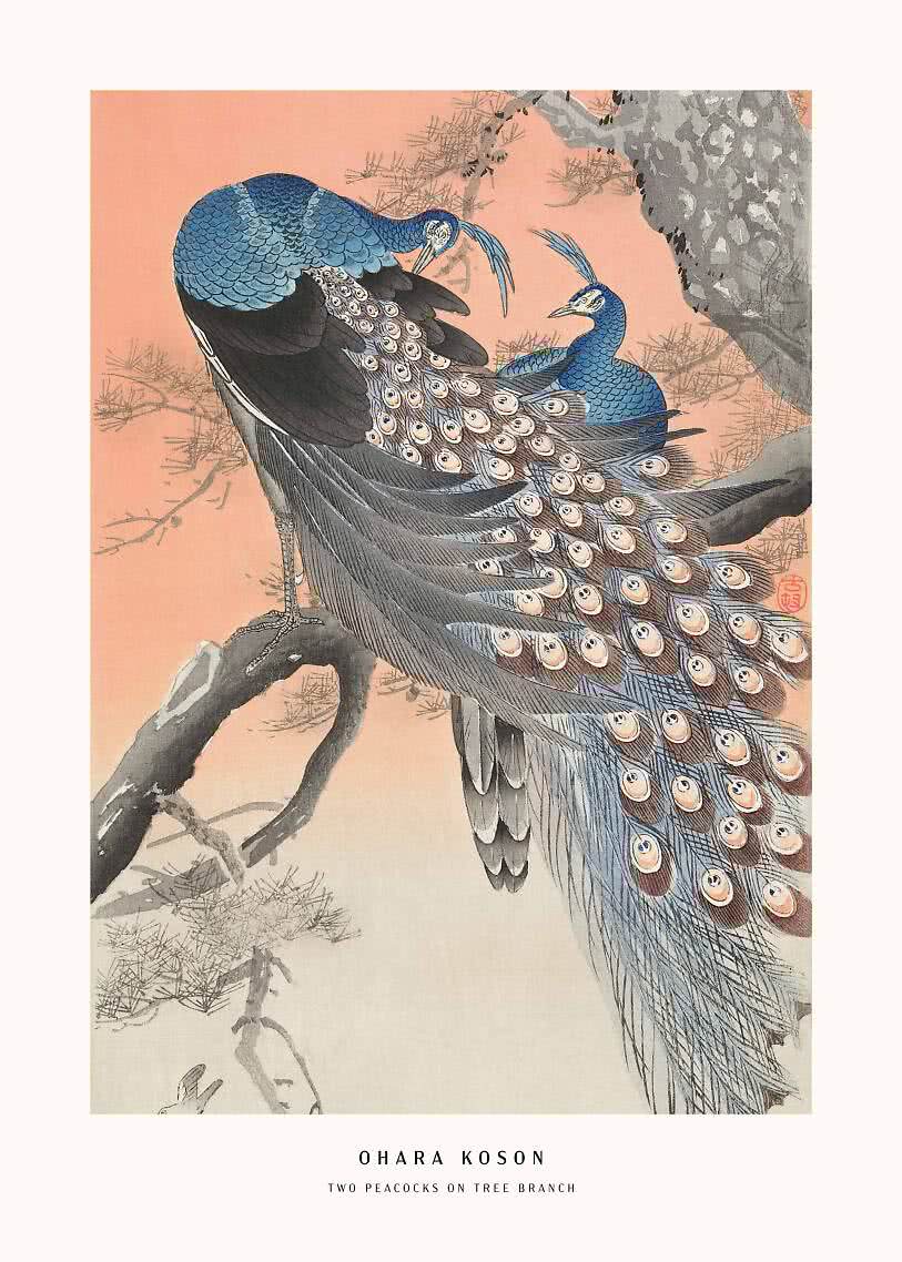 Vintage poster – Peacocks by Ohara Koson | Postery