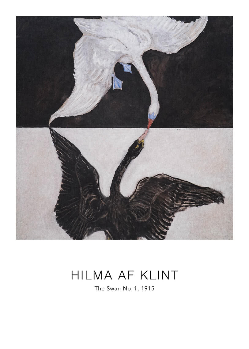 Bird poster – The Swan | Postery