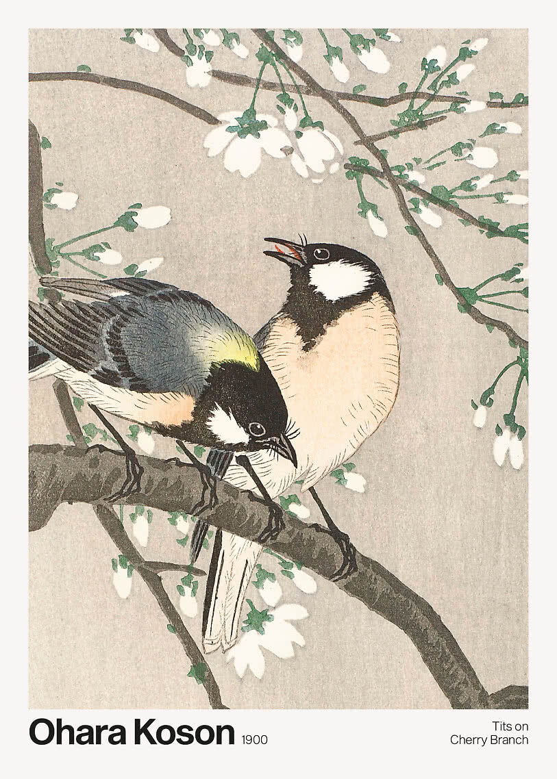 Animal Canvas – Tits on Cherry Branch by Ohara Koson